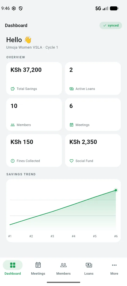 The group dashboard: savings, loans, members, meetings and the social fund